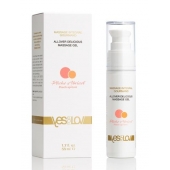 Универсальный массажный гель-смазка Allover Delicious Massage Gel с ароматом персика и аброкоса - 50 мл. - YESforLOV - купить с доставкой в Архангельске