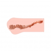 Мастурбатор-вагина Monica без вибрации - KOKOS - в Архангельске купить с доставкой