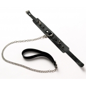 Черный ошейник с шипами и поводком - Crazy Handmade - купить с доставкой в Архангельске