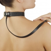 Леопардовый меховой ошейник с кожаным поводком - Sitabella - купить с доставкой в Архангельске