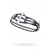 Черный кожаный пояс с кольцами - Pecado - купить с доставкой в Архангельске