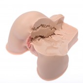 Мастурбатор-полуторс Naked Factory Kate - Naked Factory - в Архангельске купить с доставкой