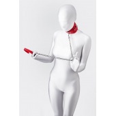 Красный ошейник с подкладкой из меха - ToyFa - купить с доставкой в Архангельске