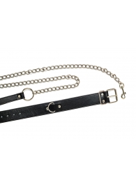 Черный ошейник с поводком Wild - Lola Games - купить с доставкой в Архангельске