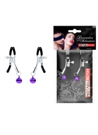 Оригинальные зажимы на соски с фиолетовыми шариками - Notabu - купить с доставкой в Архангельске