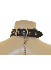 Ошейник  Веселый Роджер - Sitabella - купить с доставкой в Архангельске