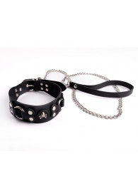 Ошейник  Веселый Роджер - Sitabella - купить с доставкой в Архангельске