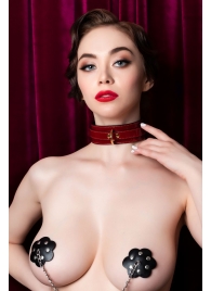 Красный ошейник из лакированного материала - ToyFa - купить с доставкой в Архангельске