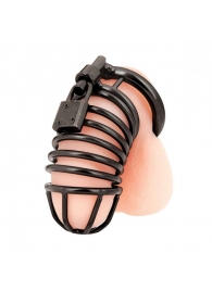 Черная металлическая клетка с замком Deluxe Chastity Cage - BlueLine - купить с доставкой в Архангельске