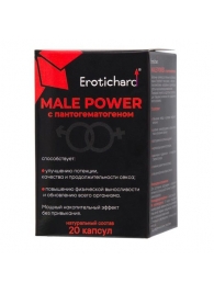 Капсулы для мужчин Erotichard male power с пантогематогеном - 20 капсул (0,370 гр.) - Erotic Hard - купить с доставкой в Архангельске