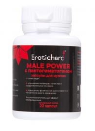 Капсулы для мужчин Erotichard male power с пантогематогеном - 20 капсул (0,370 гр.) - Erotic Hard - купить с доставкой в Архангельске