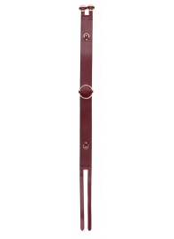 Бордовый ремень Halo Waist Belt - размер L-XL - Shots Media BV - купить с доставкой в Архангельске