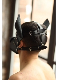 Эффектная маска собаки с металлическими заклепками - БДСМ Арсенал - купить с доставкой в Архангельске