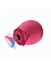 Красный вакуумный стимулятор Rose - Tracy s Dog