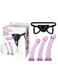 Тренировочный набор с тремя насадками Pegging Training Set - Lux Fetish - купить с доставкой в Архангельске