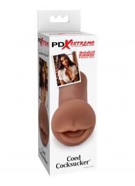 Мастурбатор-ротик Coed Cocksucker - Pipedream - в Архангельске купить с доставкой