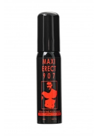 Стимулирующий спрей для мужчин Maxi Erect 907 - 25 мл. - RUF - купить с доставкой в Архангельске