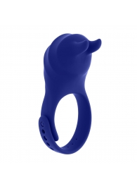 Синее эрекционное виброкольцо с клиторальной подушечкой и пультом ДУ Adjustable Fun Ring - Zero Tolerance - в Архангельске купить с доставкой