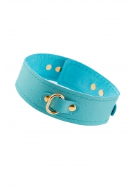 Голубой кожаный однослойный ошейник с прошивкой - Pecado - купить с доставкой в Архангельске