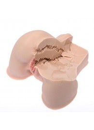 Мастурбатор-полуторс Naked Factory Kate - Naked Factory - в Архангельске купить с доставкой