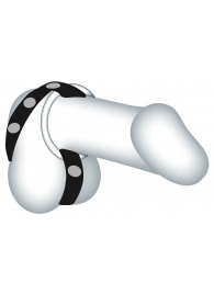 Подхват для мошонки с 3 съемными эрекционными кольцами Leder-Riemen - Orion - в Архангельске купить с доставкой