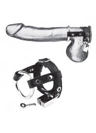 Утяжка на пенис на замочке Duo Cock And Ball Lock - BlueLine - купить с доставкой в Архангельске