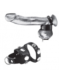 Утяжка для мошонки и пениса Cock Ring With 1  Ball Stretcher And Optional Weight Ring - BlueLine - купить с доставкой в Архангельске