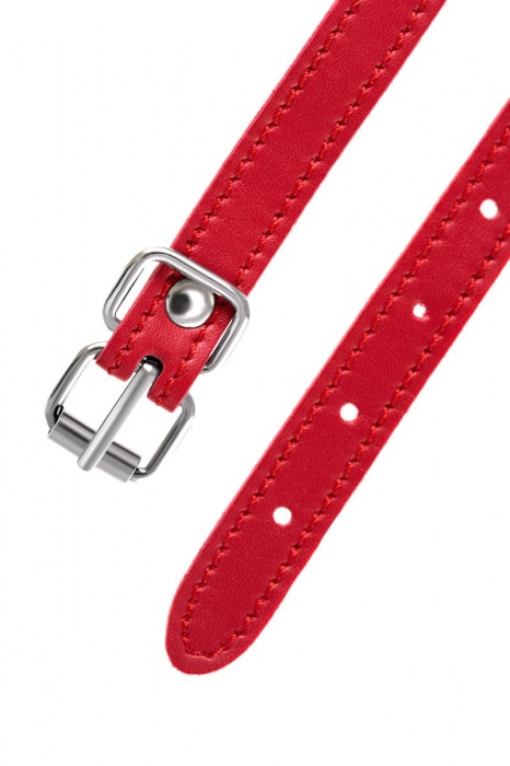 Красная маска Anonymo из искусственной кожи - ToyFa - купить с доставкой в Архангельске