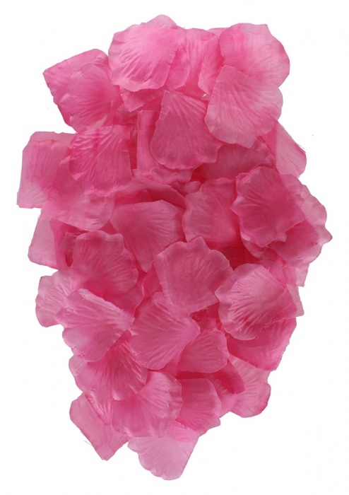 Эротический набор FANTASTIC PURPLE SEX TOY KIT - Toy Joy - купить с доставкой в Архангельске