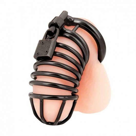 Черная металлическая клетка с замком Deluxe Chastity Cage - BlueLine - купить с доставкой в Архангельске