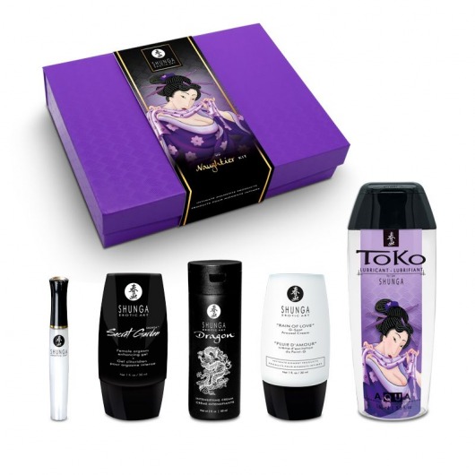 Подарочный набор Naughter Kit - Shunga - купить с доставкой в Архангельске