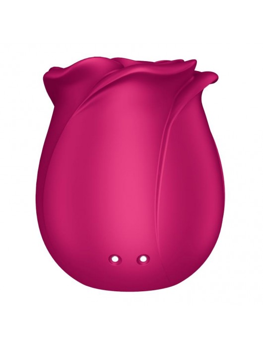 Малиновый вакуум-волновой стимулятор Pro 2 Classic Blossom - Satisfyer
