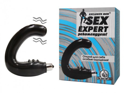 Чёрный массажёр простаты серии Sex Expert - Sex Expert - в Архангельске купить с доставкой