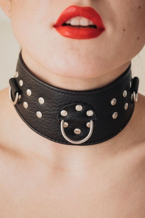 Кожаный ошейник для эротических игр - БДСМ Арсенал - купить с доставкой в Архангельске