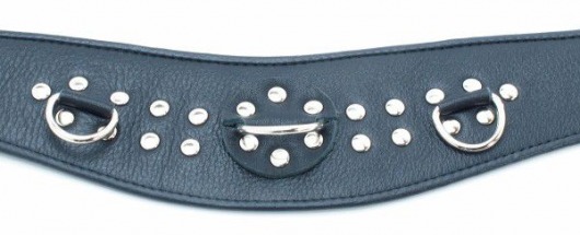 Кожаный ошейник для эротических игр - БДСМ Арсенал - купить с доставкой в Архангельске
