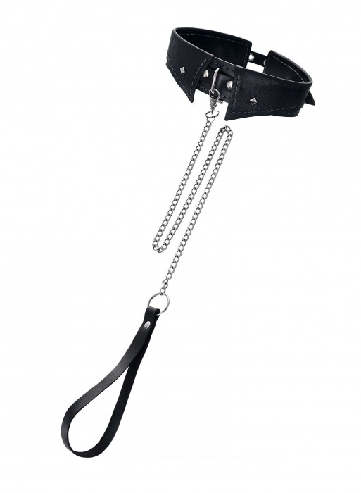 Черный кожаный ошейник-воротник с поводком - Pecado - купить с доставкой в Архангельске