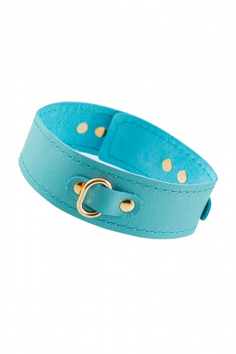 Голубой кожаный однослойный ошейник с прошивкой - Pecado - купить с доставкой в Архангельске