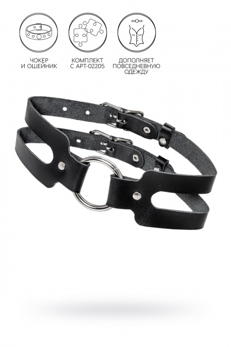 Черный кожаный чокер-ошейник из двух ремешков - Pecado - купить с доставкой в Архангельске