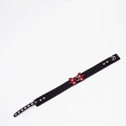 Черный ошейник с красным декором и строчкой - Crazy Handmade - купить с доставкой в Архангельске