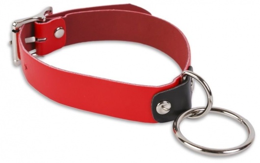 Красный ошейник с колечком - Пикантные штучки - купить с доставкой в Архангельске