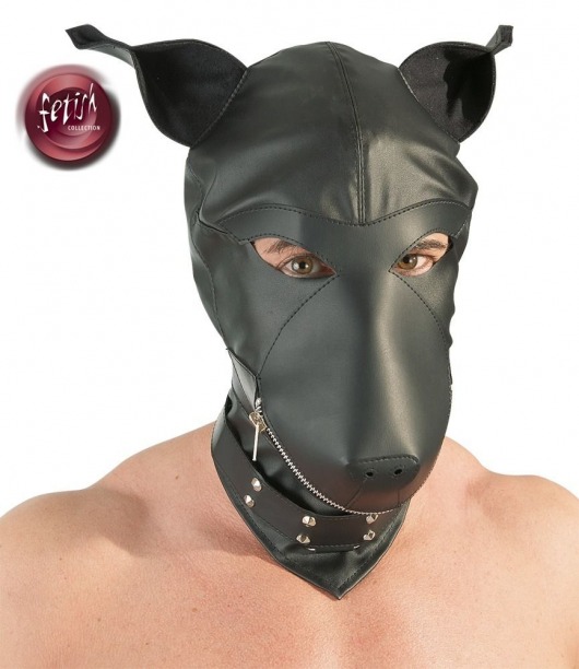 Шлем-маска Dog Mask в виде морды собаки - Orion - купить с доставкой в Архангельске