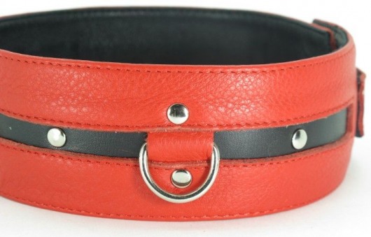 Черно-красный кожаный ошейник увеличенного размера - БДСМ Арсенал - купить с доставкой в Архангельске