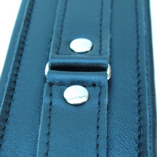 Ошейник из гладкой кожи - БДСМ Арсенал - купить с доставкой в Архангельске