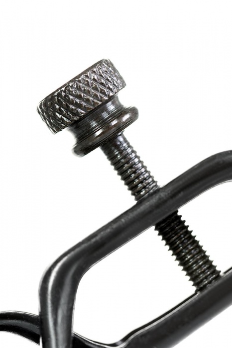 Черно-золотистые зажимы для сосков TOYFA Theatre - ToyFa - купить с доставкой в Архангельске