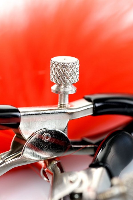 Зажимы для сосков с красным пухом Theatre - ToyFa - купить с доставкой в Архангельске