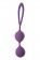 Фиолетовые вагинальные шарики Flirts Kegel Balls - Dream Toys