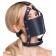 Черный намордник с кляпом-шаром Head Harness With A Gag - Orion - купить с доставкой в Архангельске Черный намордник с кляпом-шаром Head Harness With A Gag - Orion - купить с доставкой в Архангельске